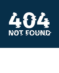 WordPress 404